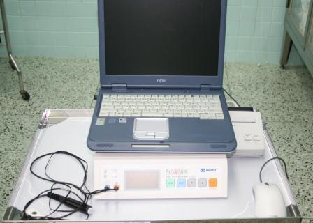 図２：ペインビジョン